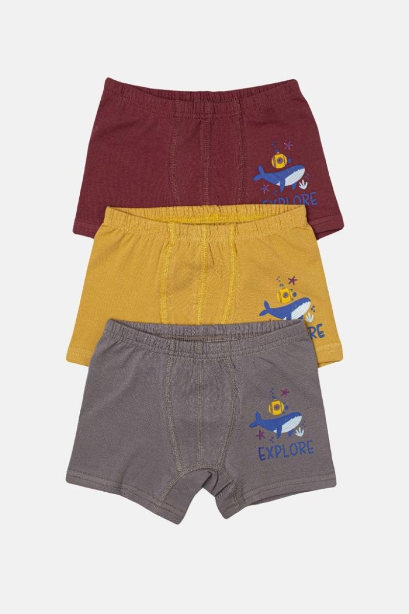 EXPLORE BALİNA BOXER 2-11 YAŞ